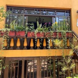 RESTAURANT COCOMBRE